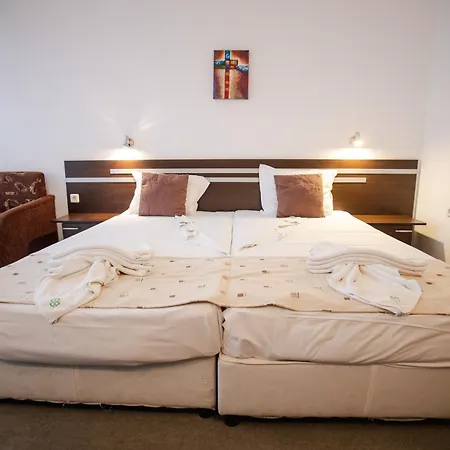 Hotel Deva 3*